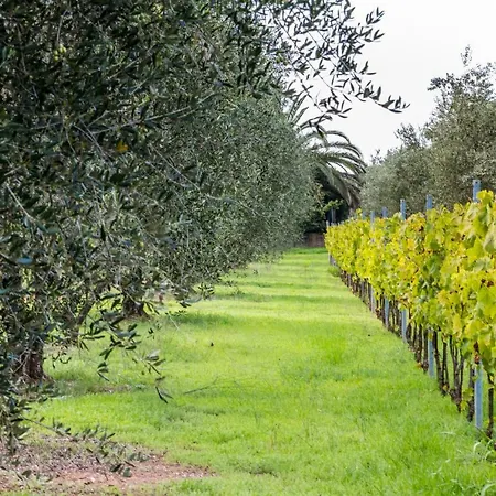 Isa Farm stay Follonica